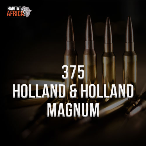 375-Holland&Holland-Magnum-Habitat-Africa