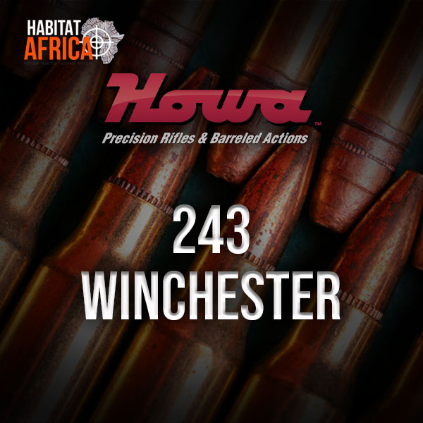 Howa-Rifle-243-Winchester-Caliber-Habitat-Africa