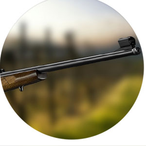 CZ-457-LUX-Rimfire-Habitat-Africa-1