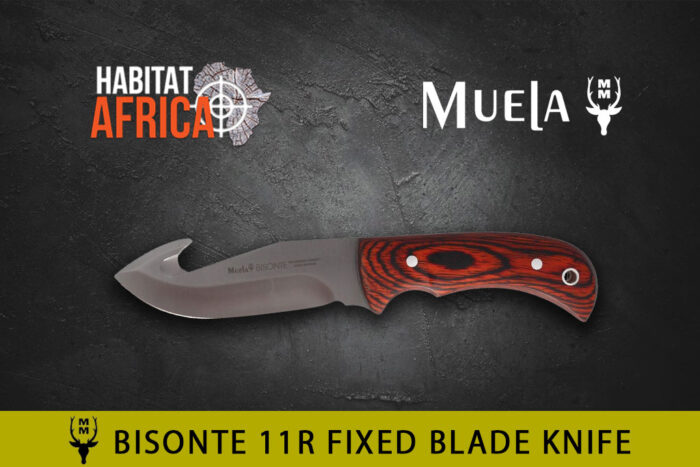 Muela-Bisonte-11R-Knife-Habitat-Africa-1