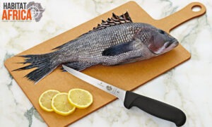 Victorinox-Swiss-Classic-Boning-Knife-Banner
