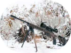 Optional-Cerakote-coating-ACE-Game