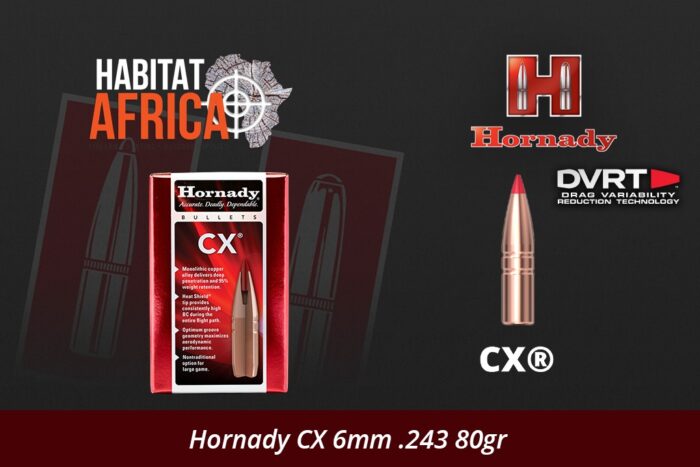 Hornady-CX-6mm-.243-80gr-Bullet-Habitat-Africa