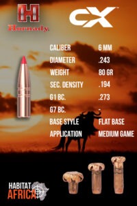 Hornady-CX-6mm-.243-80gr-Bullet-Info-Habitat-Africa