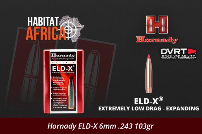 Hornady-ELD-X-6mm-.243-103gr-Bullet-Habitat-Africa