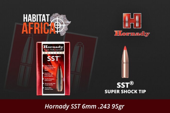 Hornady-SST-6mm-.243-95gr-Bullet-Habitat-Africa