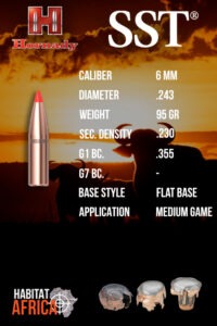 Hornady-SST-6mm-.243-95gr-Bullet-Info-Habitat-Africa