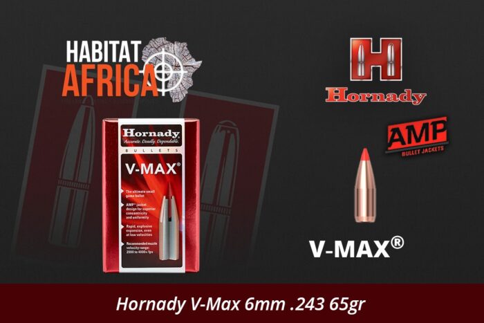 Hornady-V-Max-6mm-.243-65gr-Bullet-Habitat-Africa