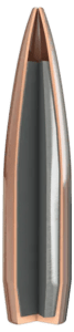 Match Bullet