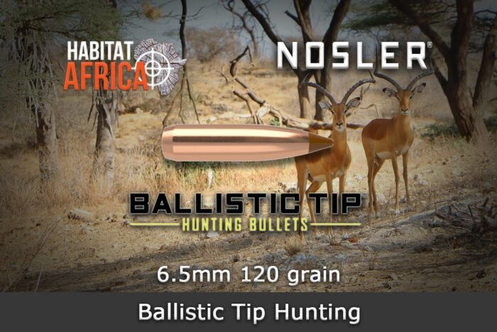 Nosler-Ballistic-Tip-Hunting-6.5mm-.264-120gr-Bullet-Habitat-Africa