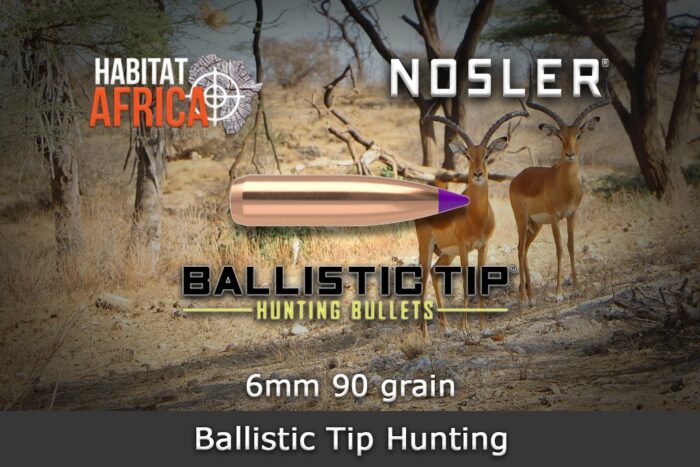 Nosler-Ballistic-Tip-Hunting-6mm-.243-90gr-Bullet-Habitat-Africa