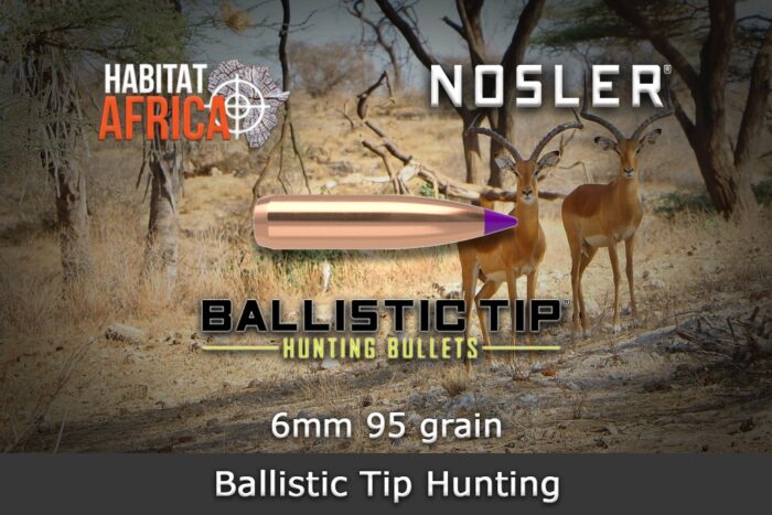 Nosler-Ballistic-Tip-Hunting-6mm-.243-95gr-Bullet-Habitat-Africa