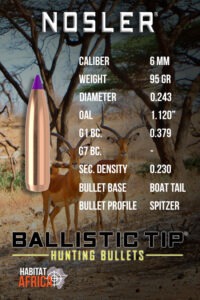 Nosler-Ballistic-Tip-Hunting-6mm-.243-95gr-Bullet-Info-Habitat-Africa
