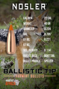 Nosler-Ballistic-Tip-Varmint-22-Cal-.224-40gr-Bullet-Info-Habitat-Africa