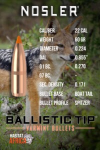 Nosler-Ballistic-Tip-Varmint-22-Cal-.224-60gr-Bullet-Info-Habitat-Africa