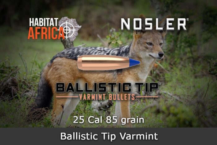 Nosler-Ballistic-Tip-Varmint-25-Cal-.257-85gr-Bullet-Habitat-Africa