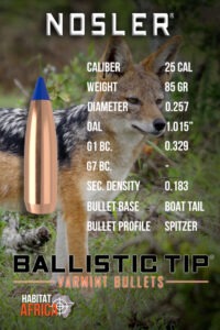 Nosler-Ballistic-Tip-Varmint-25-Cal-.257-85gr-Bullet-Info-Habitat-Africa