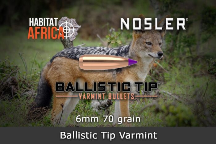 Nosler-Ballistic-Tip-Varmint-6mm-.243-70gr-Bullet-Habitat-Africa