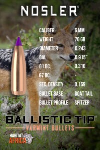 Nosler-Ballistic-Tip-Varmint-6mm-.243-70gr-Bullet-Info-Habitat-Africa