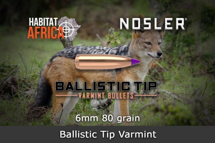 Nosler-Ballistic-Tip-Varmint-6mm-.243-80gr-Bullet-Habitat-Africa