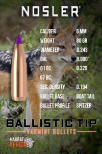 Nosler-Ballistic-Tip-Varmint-6mm-.243-80gr-Bullet-Info-Habitat-Africa