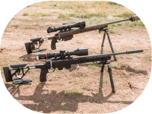 Tikka-T1x-Ace-Target-Stock-compatibility