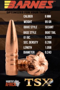 Barnes-TSX-BT-6mm-.243-85gr-Bullet-Info-Habitat-Africa