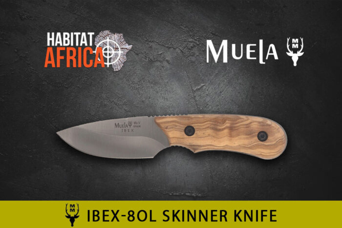 Muela-Ibex-8.OL-Knife-Habitat-Africa-1