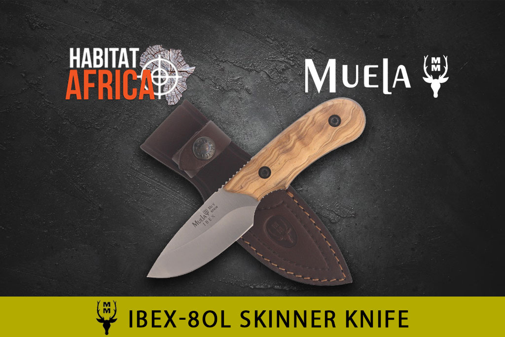 Muela-Ibex-8.OL-Knife-Habitat-Africa-2