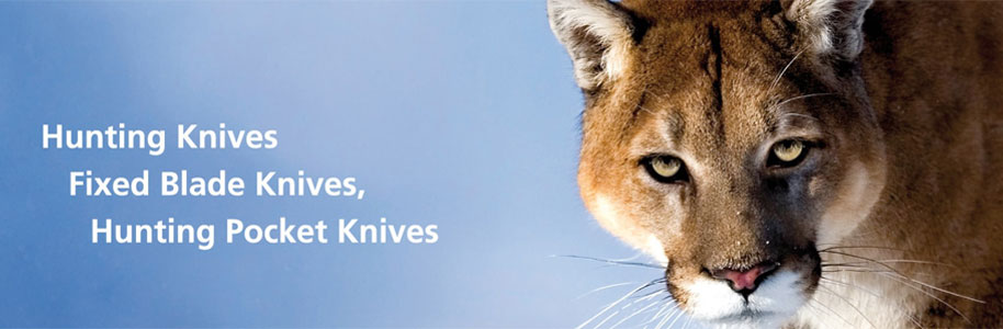 Puma-Knives-Banner