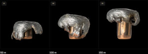 Norma-Oryx-Ammunition-Mushrooms