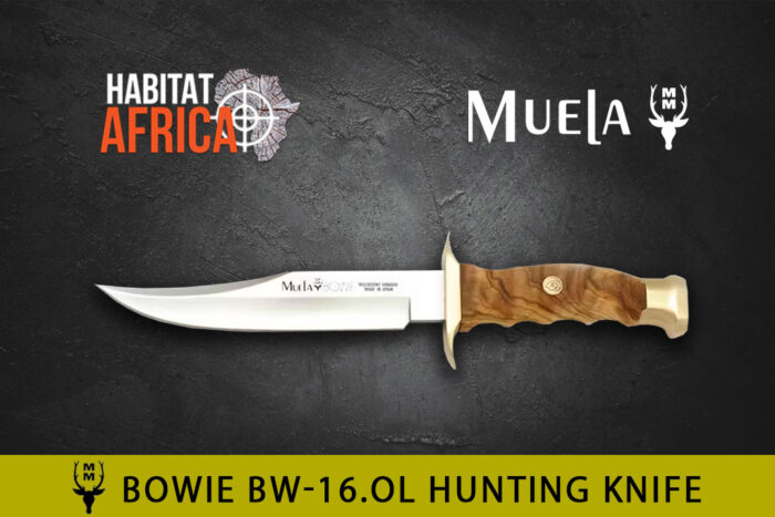 Muela-Bowie-BW-16.OL-Knife-Habitat-Africa