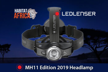 LED-Lenser-MH11-Edition-2019-Headlamp-Habitat-Africa