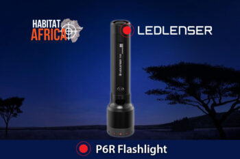 LED-Lenser-P6R-Flashlight-Habitat-Africa