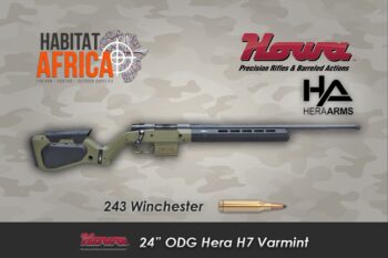 Howa 24 inch 243 Winchester Hera H7 ODG Varmint
